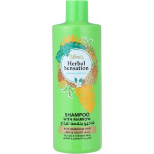 هيربال سينسيشن شامبو بالنخاع للشعر المجهد والجاف 600 مل
